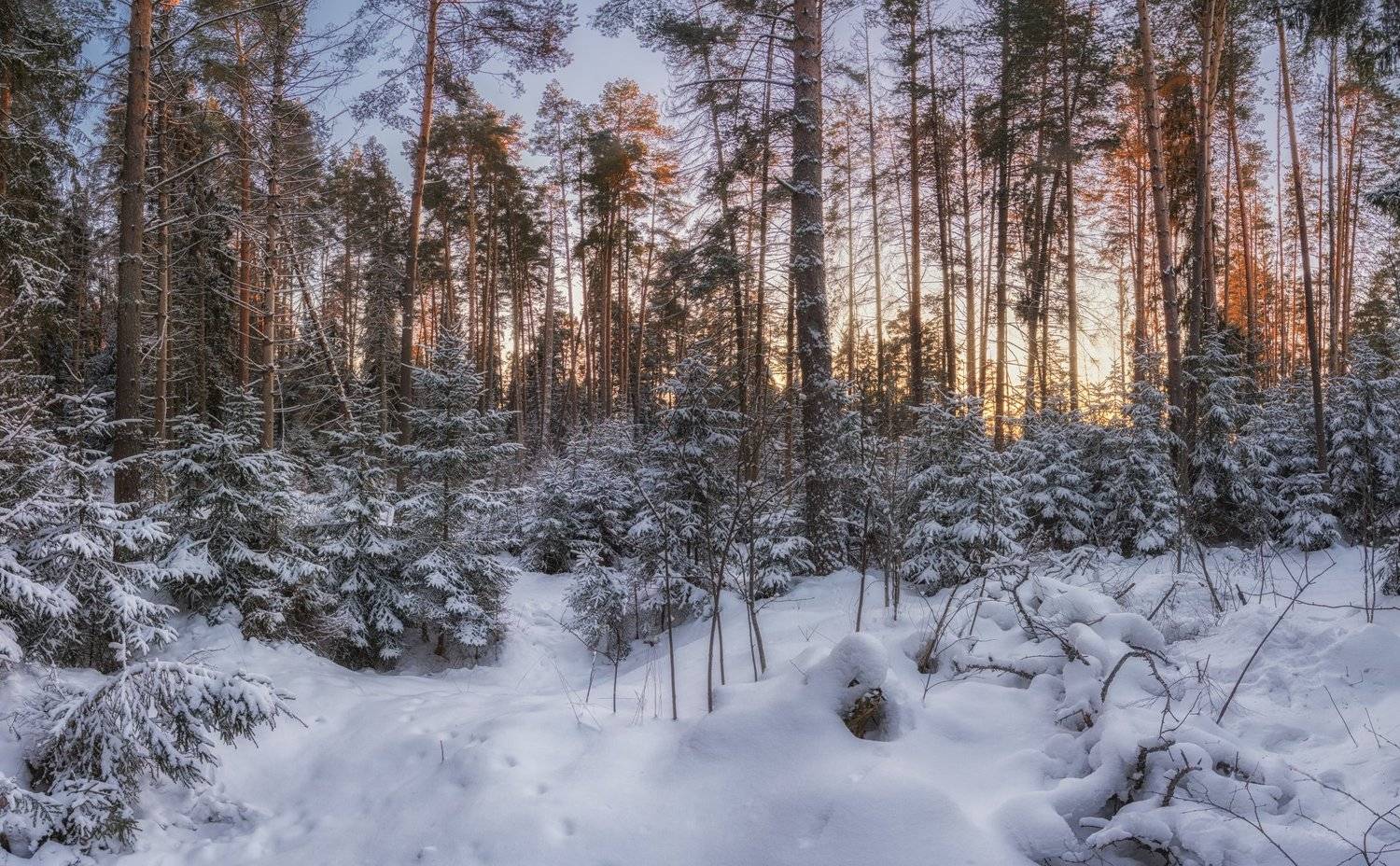 , Курдюков Михаил