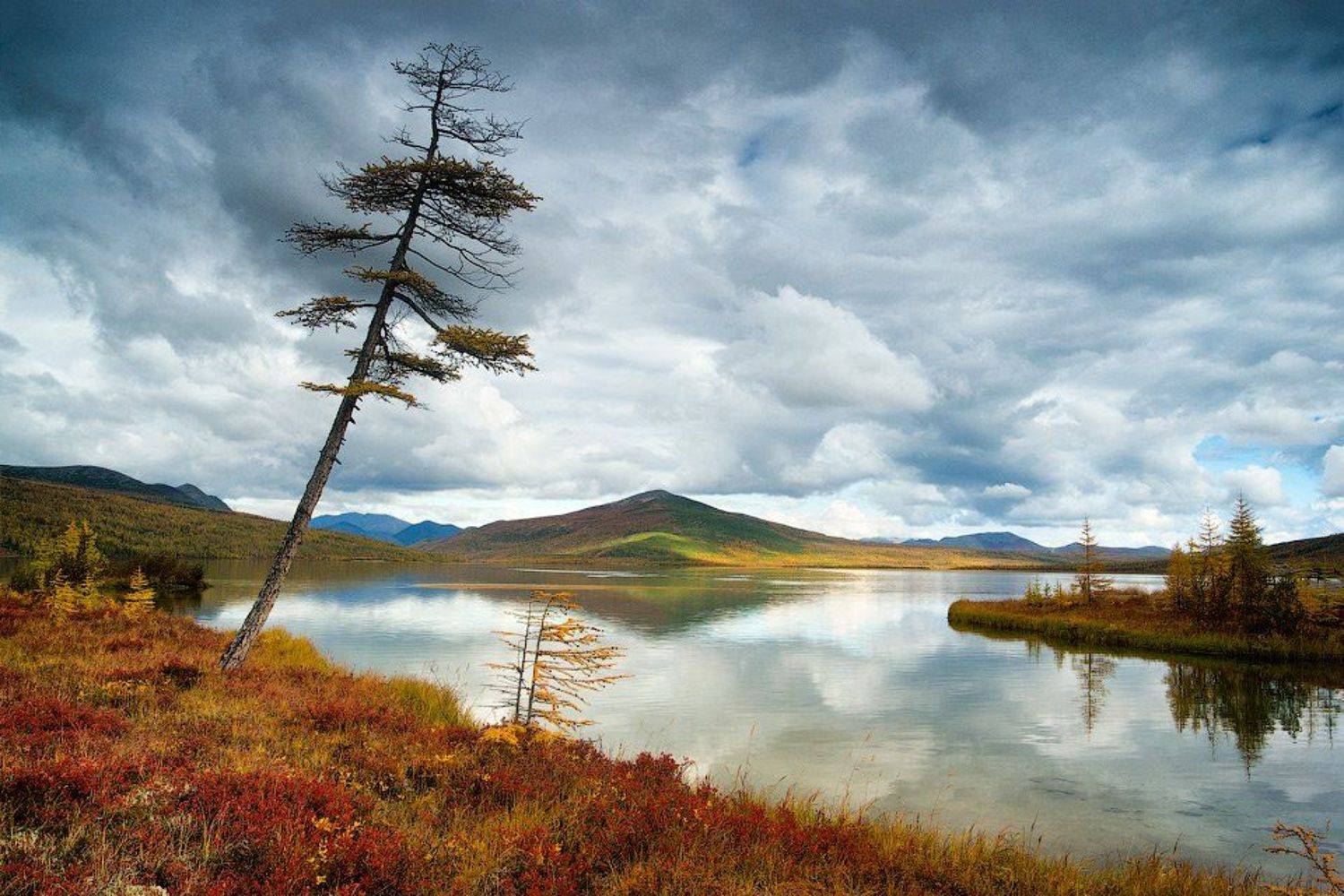 колыма, озеро джека лондона, река пурга, магаданская область, россия, озеро, лиственницы, тундра, отражения, облака, Алексей Харитонов