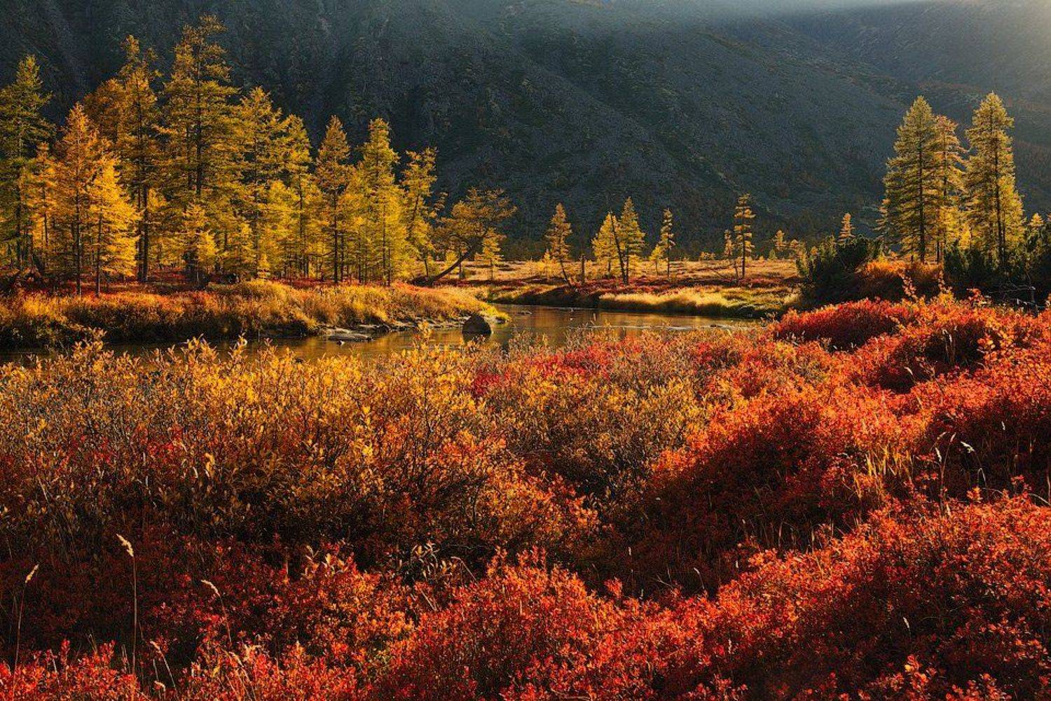 колыма, озеро джека лондона, река пурга, магаданская область, россия, река, березы миддендорфа, лиственницы, закат, тундра, Алексей Харитонов