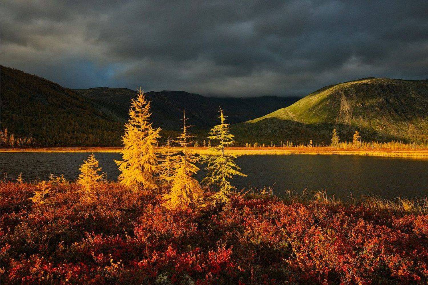 колыма, озеро джека лондона, река пурга, ручей студеный, магаданская область, россия, утро, рассвет, лиственницы, тундра, Алексей Харитонов