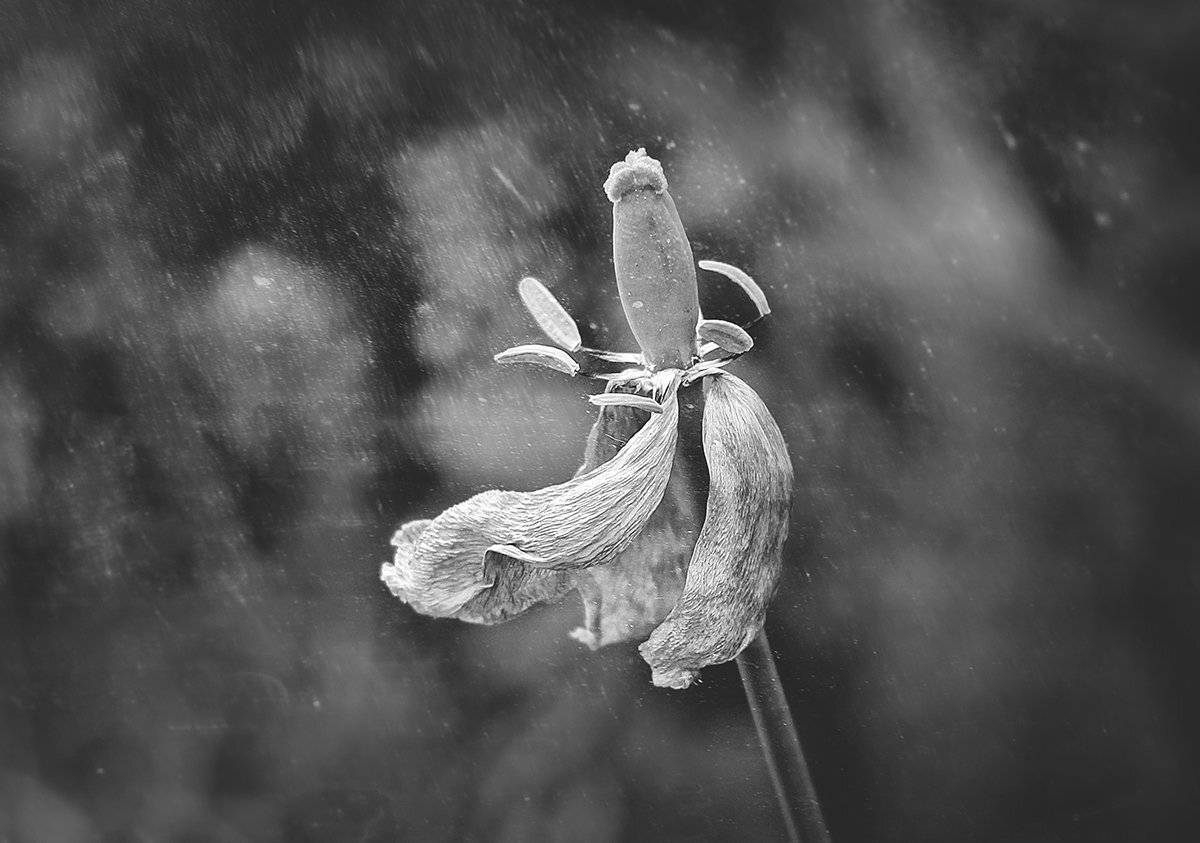 , Инна Сухова