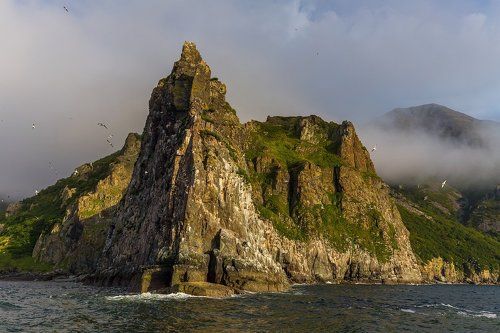 Клыкастое побережье