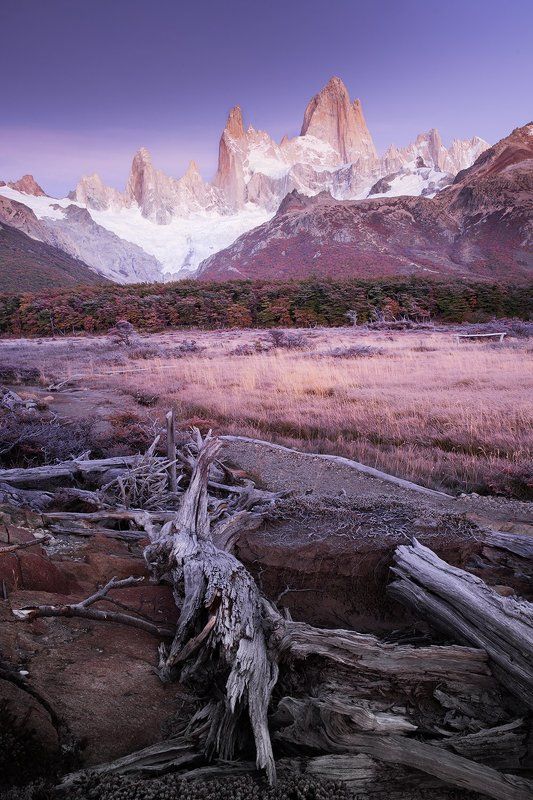 #fitzroy, #patagonia, #el_chalten ПАТАГОНСКИЕ КОРЯГИ фото превью