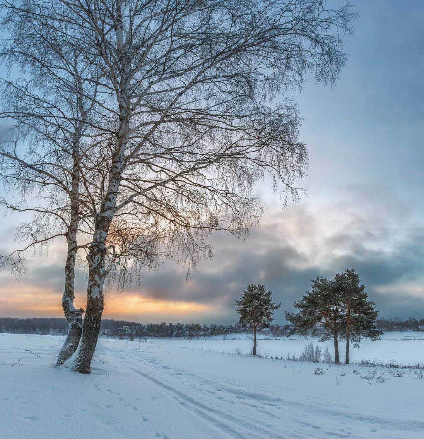 , Николай Андреев