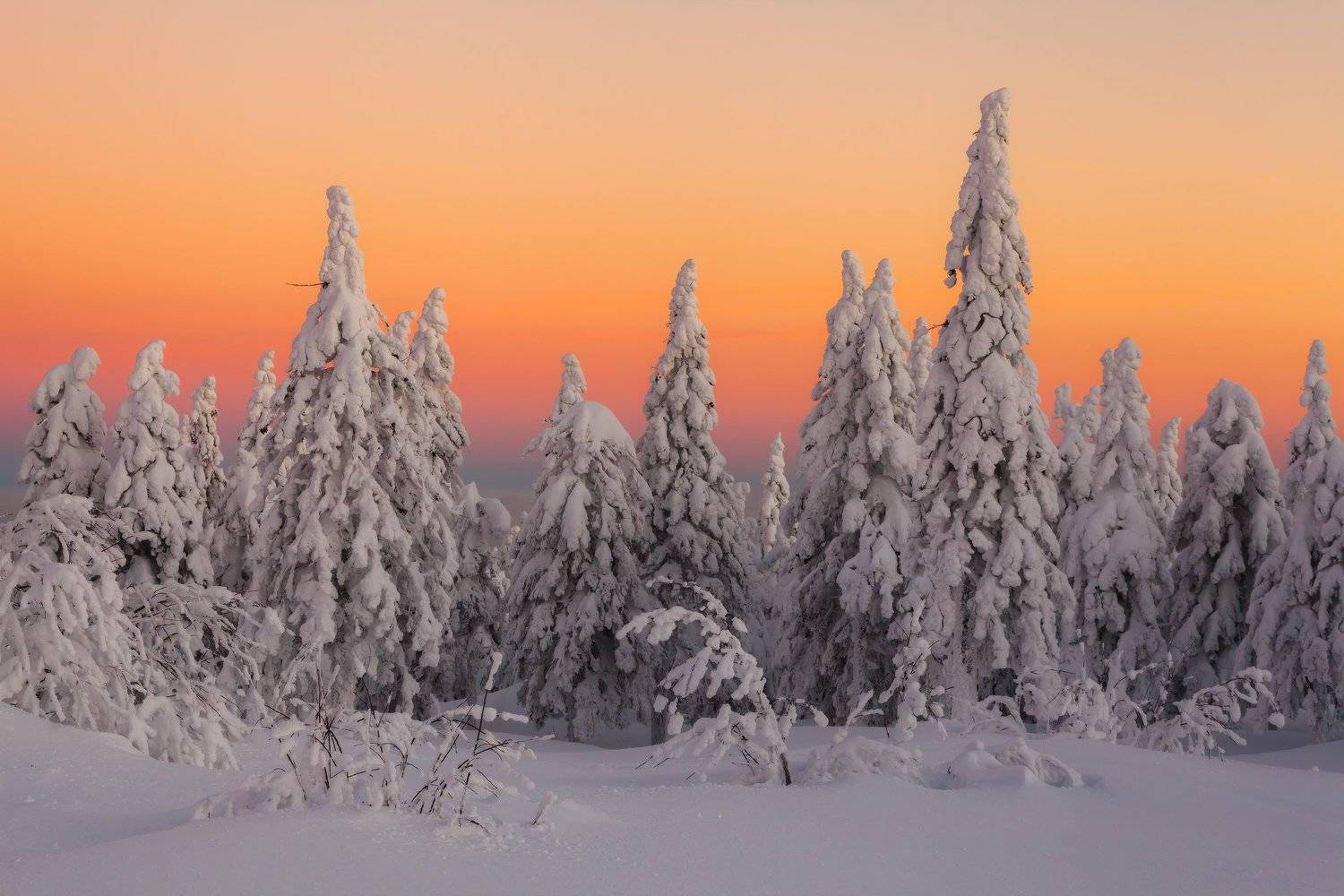 зима, рассвет, урал, таганай, златоуст, t_berg, Михаил Трахтенберг