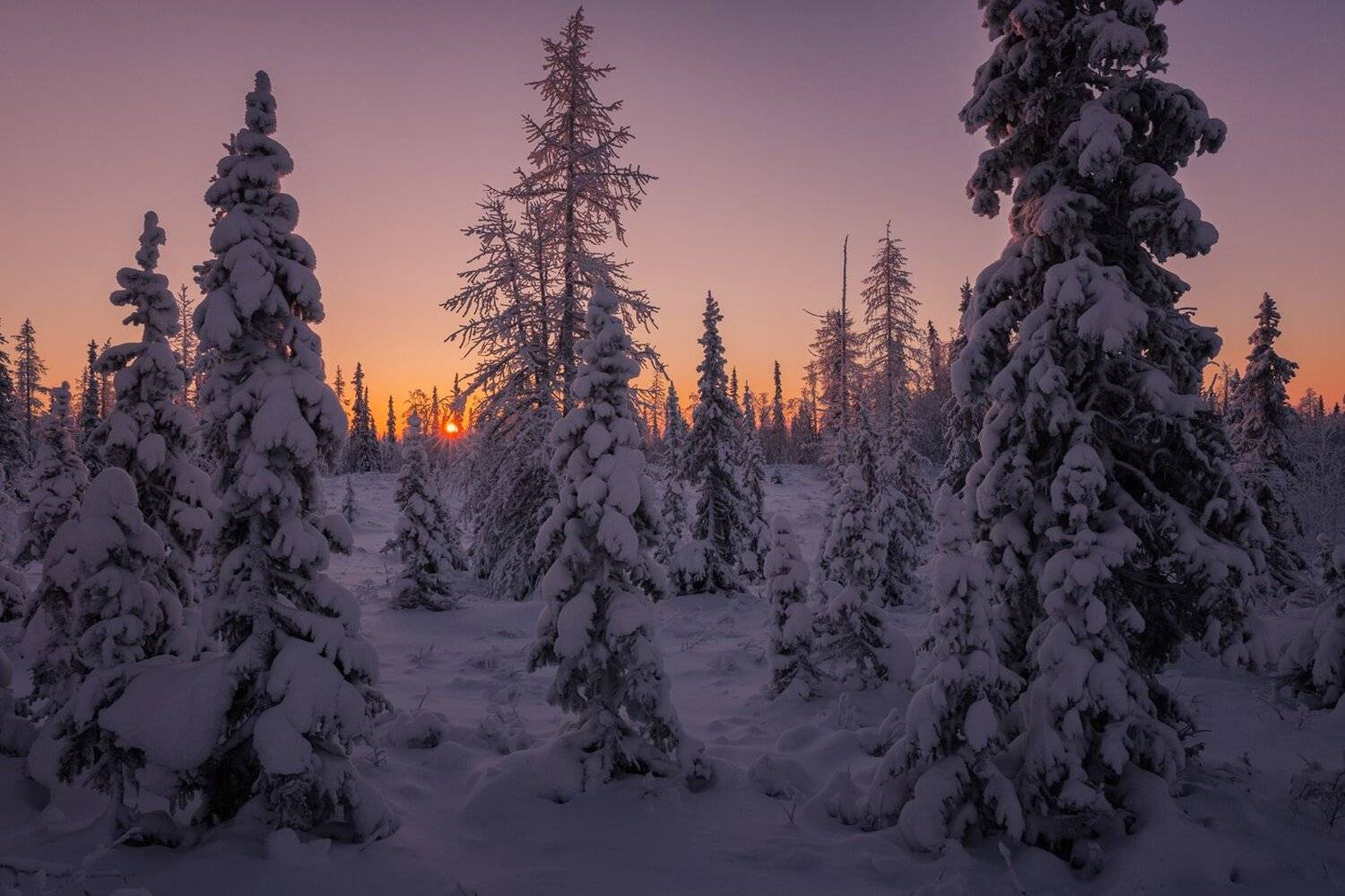 , Евгений Кужилев