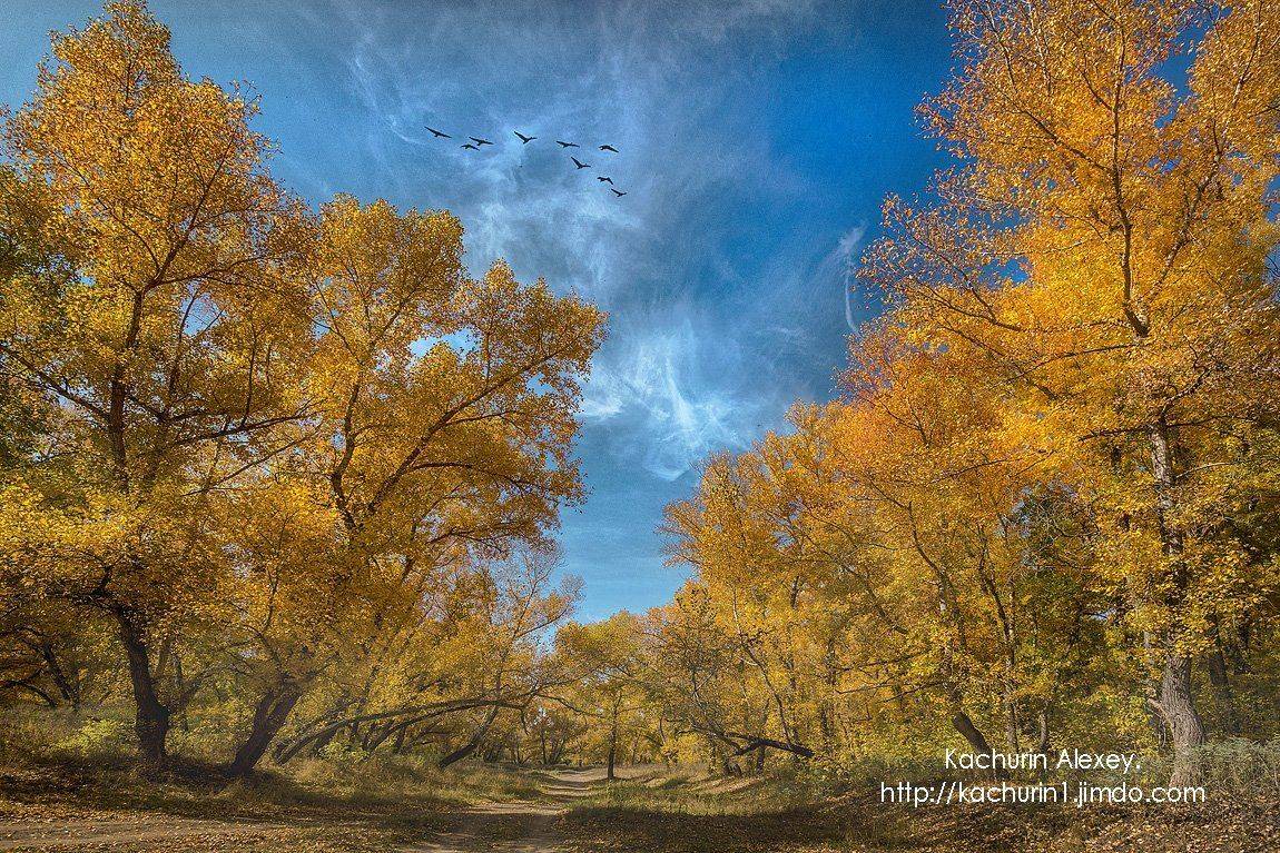 урал,качурин,орск.осень, Качурин Алексей