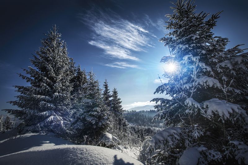 Буковель фото превью