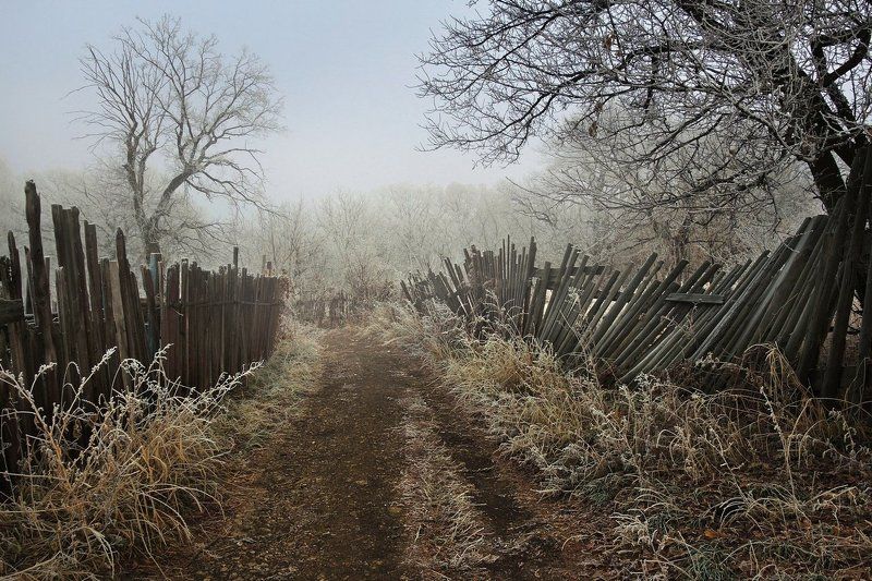 Вдоль околицы в туман фото превью
