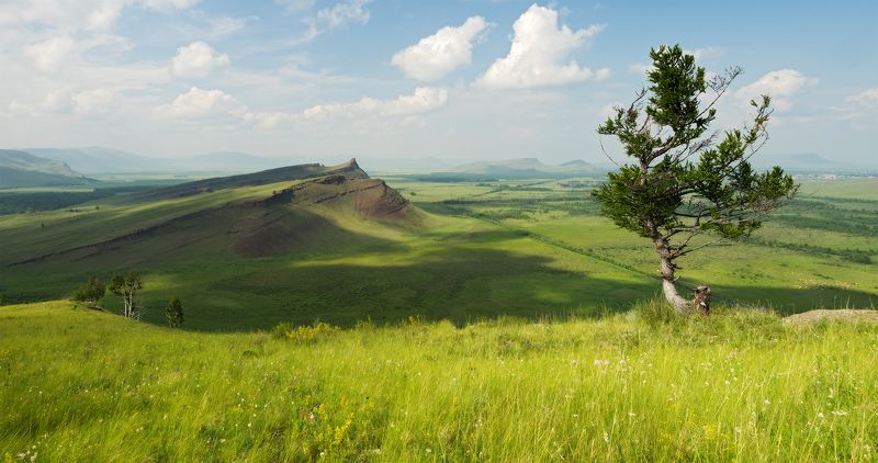 ...Просторы Хакасии... фото превью