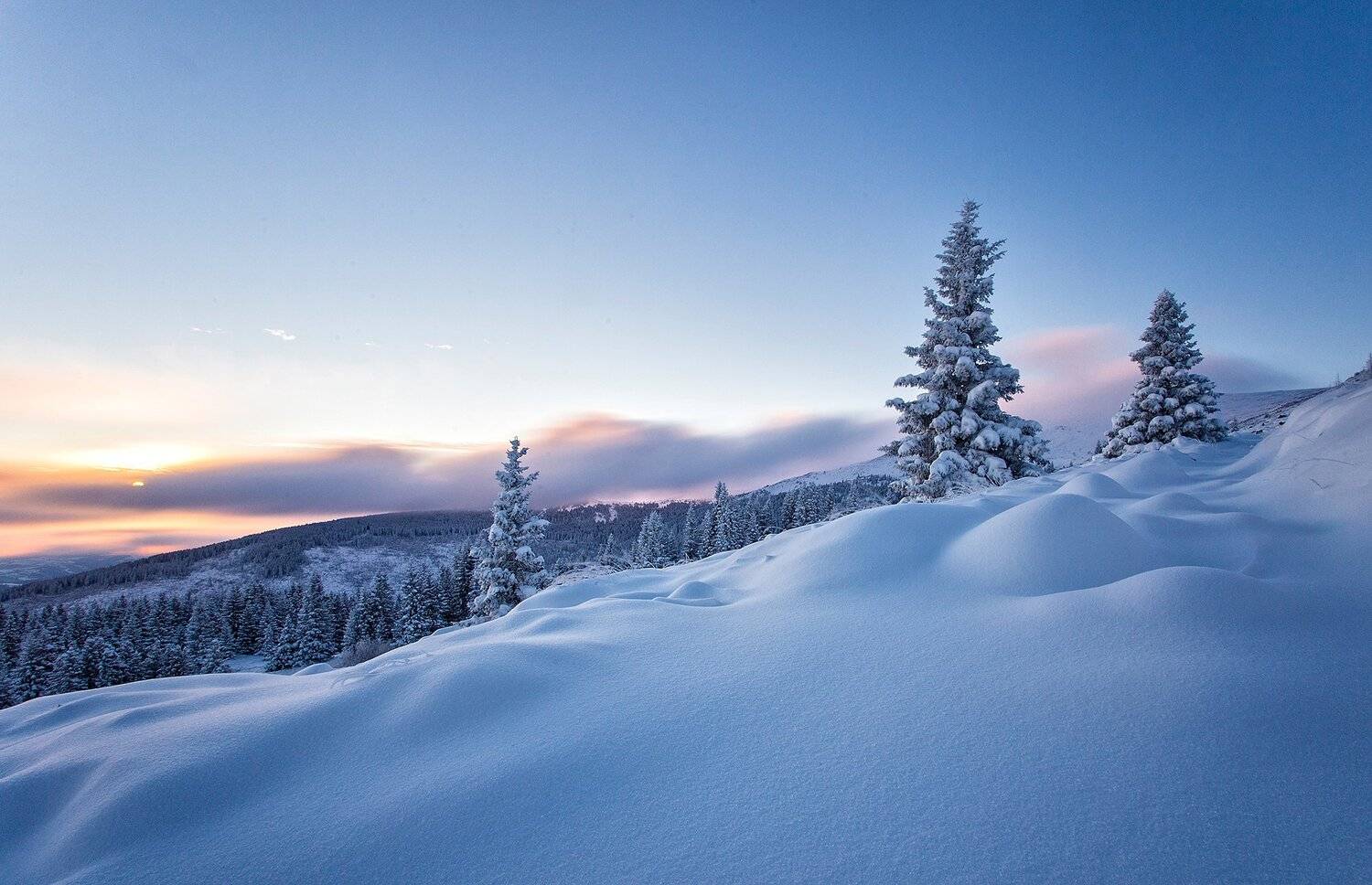 winter, cold, snow, tree, mountain, temperature, wind, powder, nature, landscape, climb, sky, travel, visit, clouds, path, nd, path, trail,, Peter Todorov