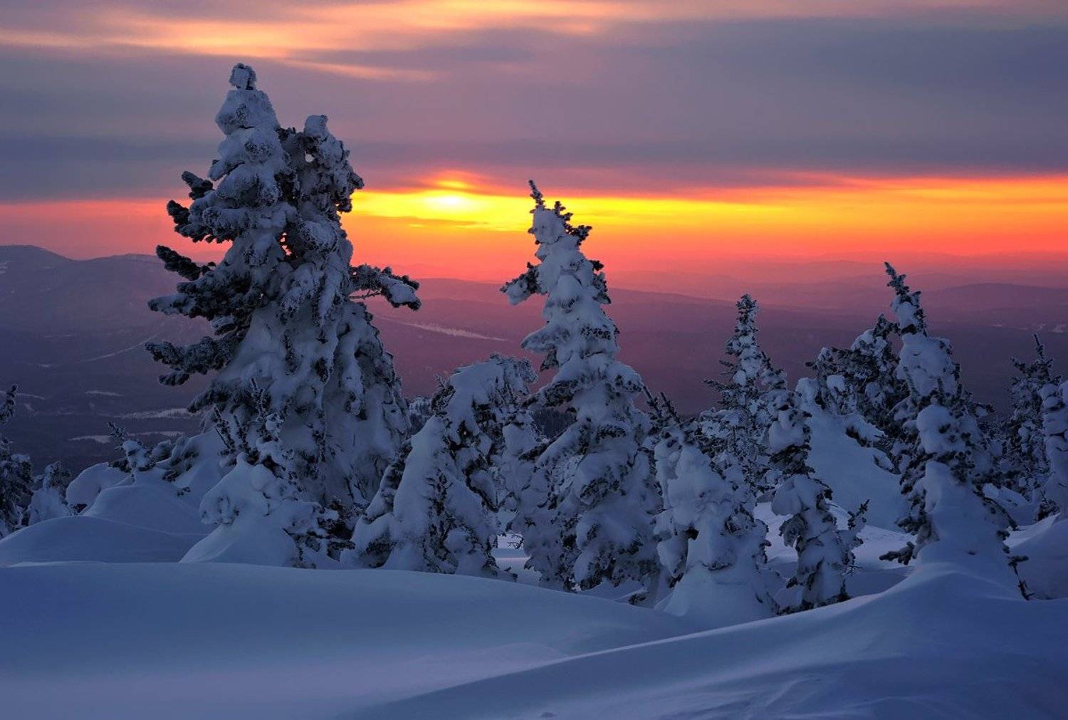 зима, снег, вечер, солнце, облака, кедры, пихты, шерегеш, горная шория, сибирь, Валерий Пешков
