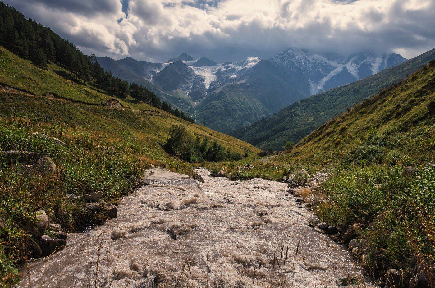 , Игорь Мелекесцев