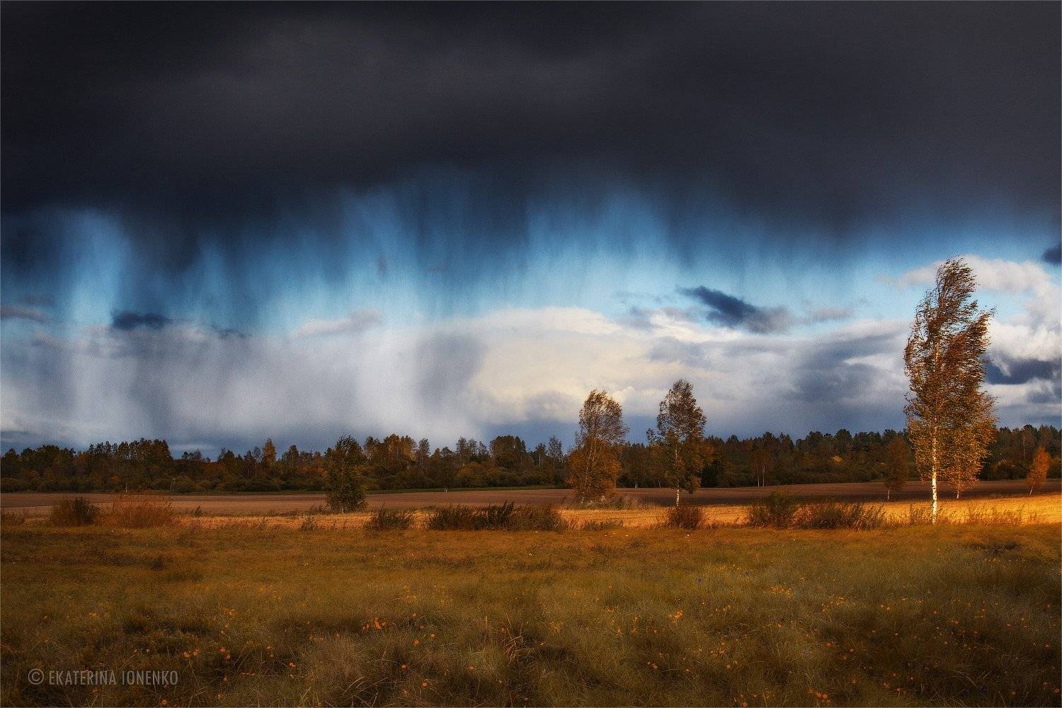 , Екатерина Ионенко