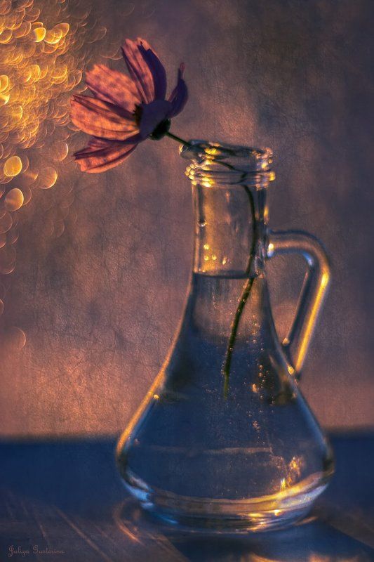 ♥ фото превью