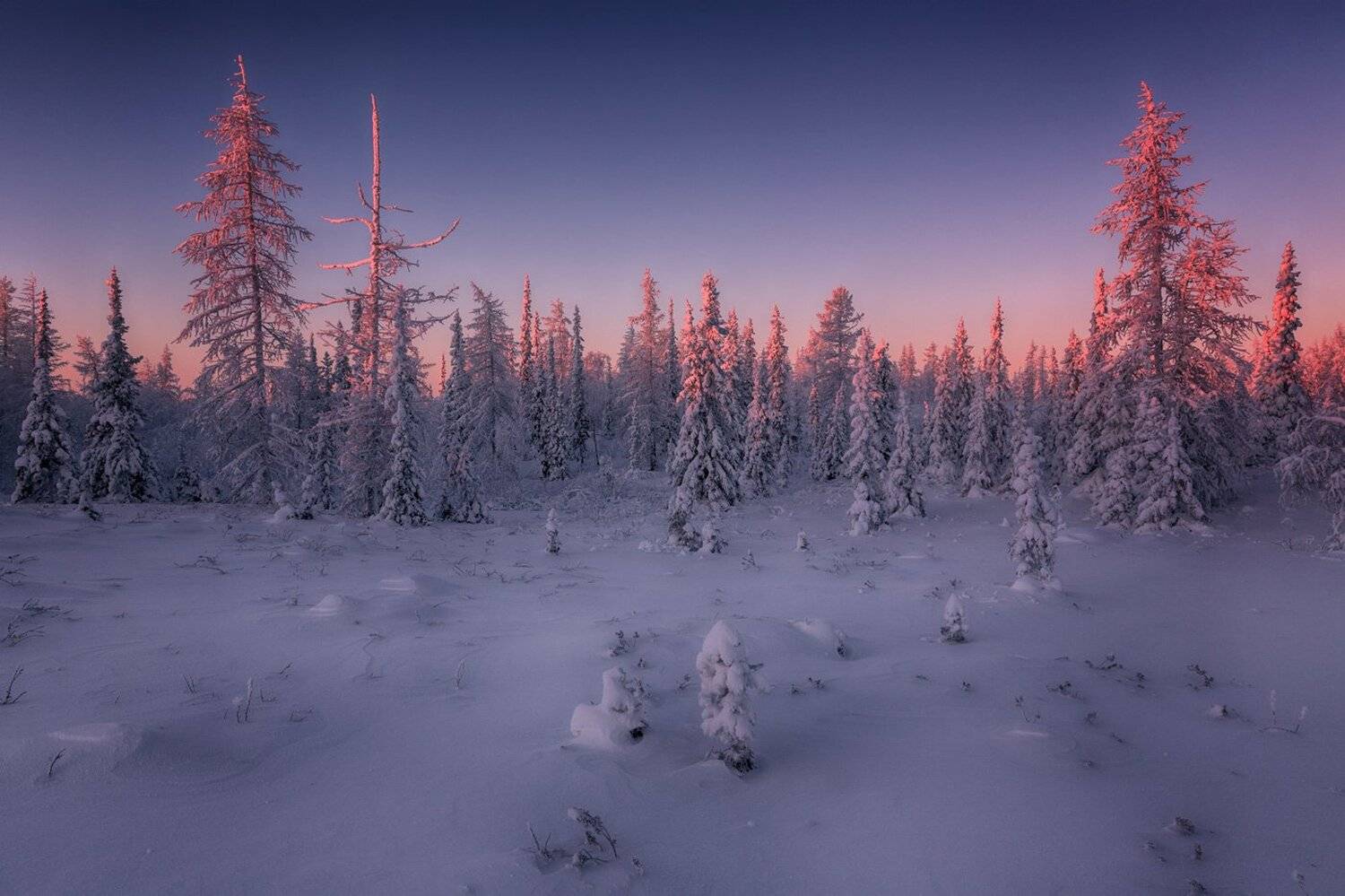 , Евгений Кужилев