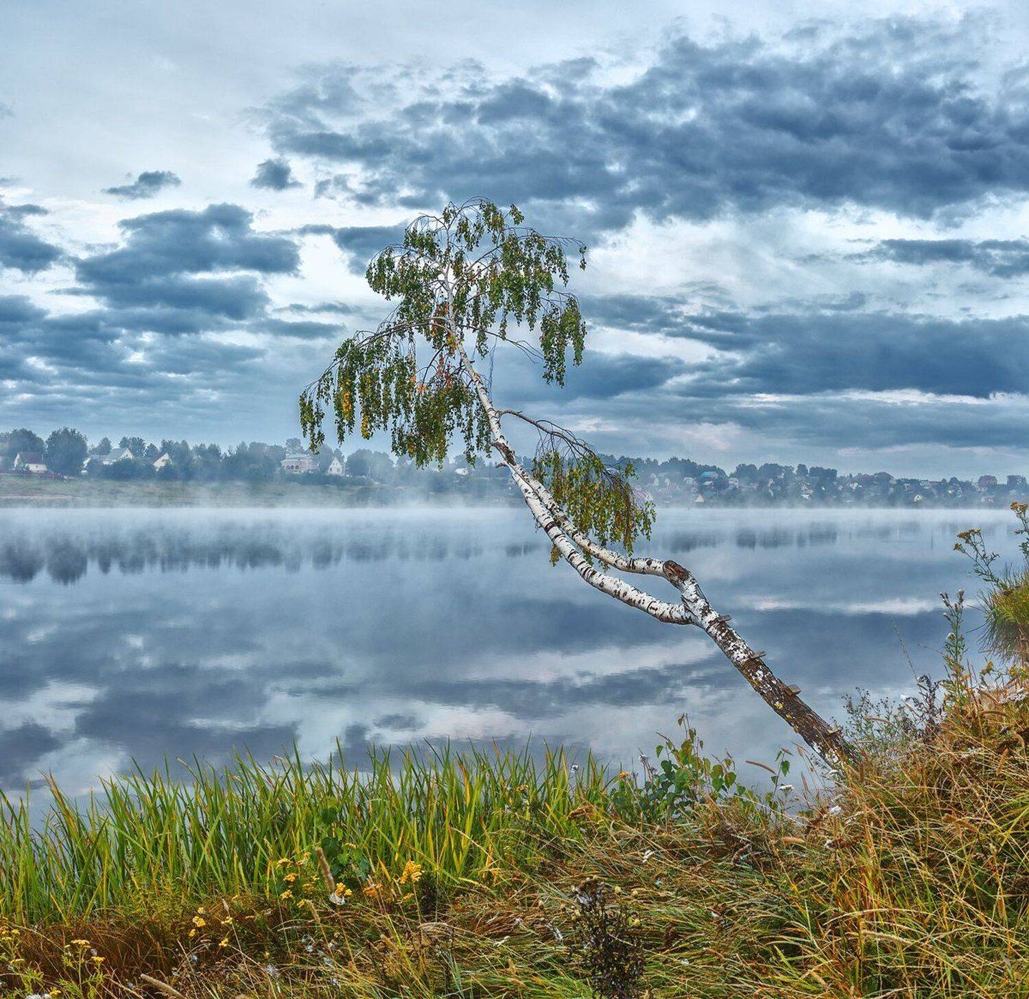 , Николай Андреев
