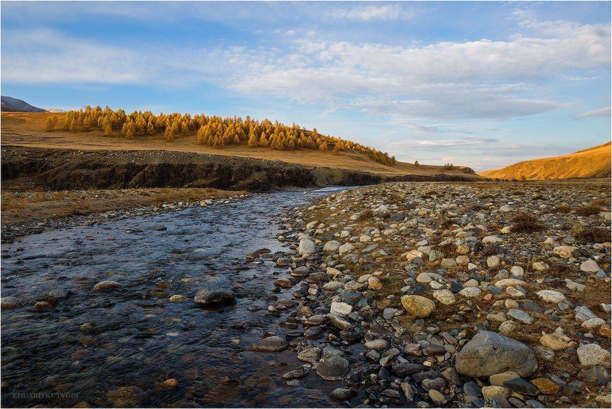 , Кутыгин Эдуард