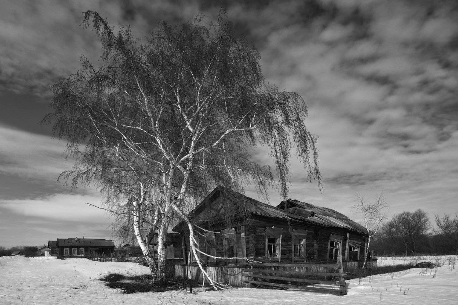 , Влад Шерман