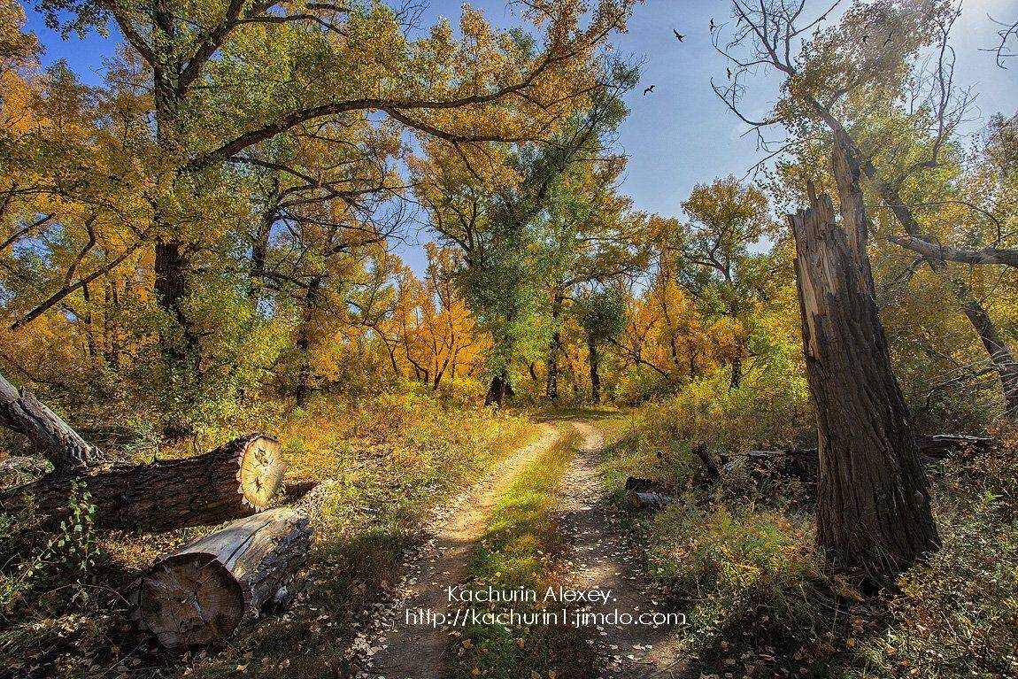орск, качурин, осень урал, Качурин Алексей