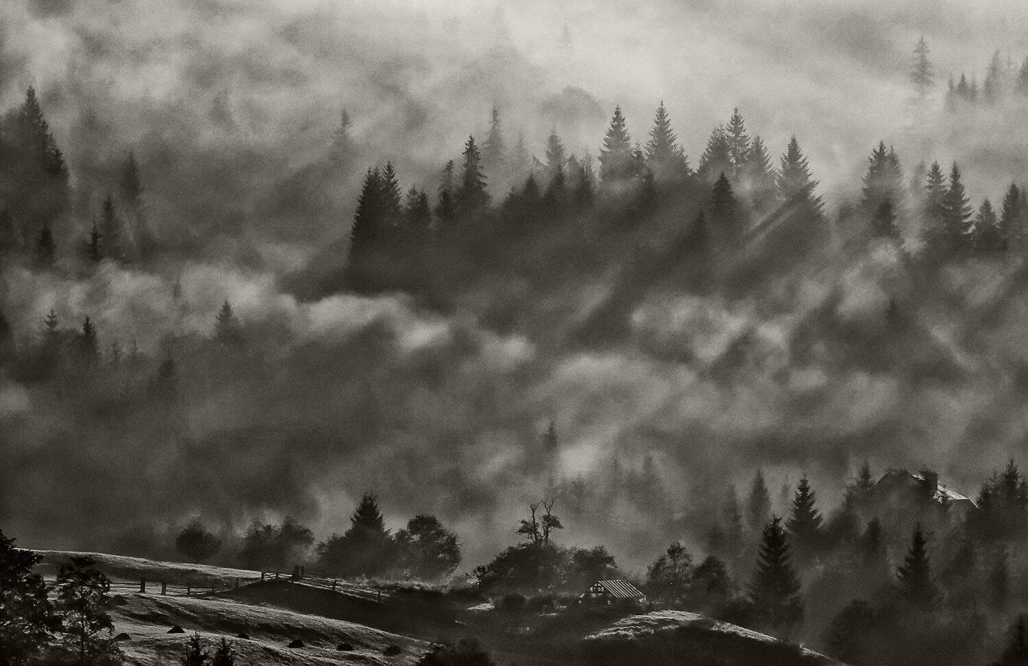 карпаты, осень, туман,	утро, дземброня, Михаил Глаголев