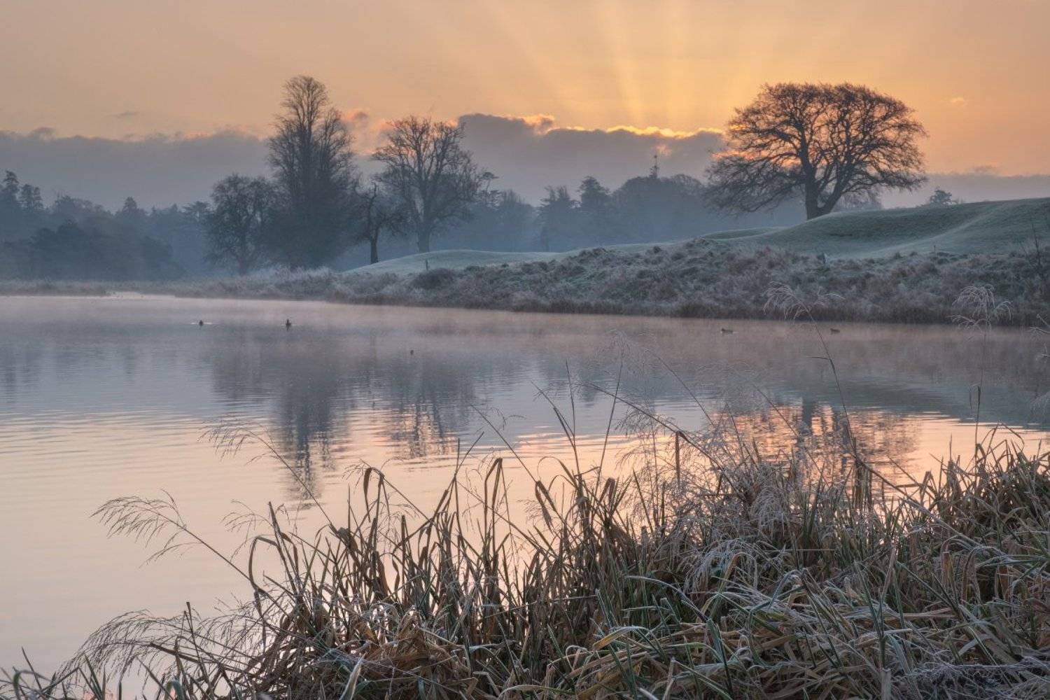 ирландия, рассвет, мороз, иней, Евгений Ремизов