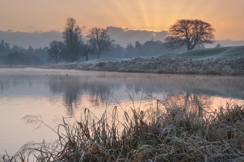 ирландия, рассвет, мороз, иней Однажды морозным утром фото превью