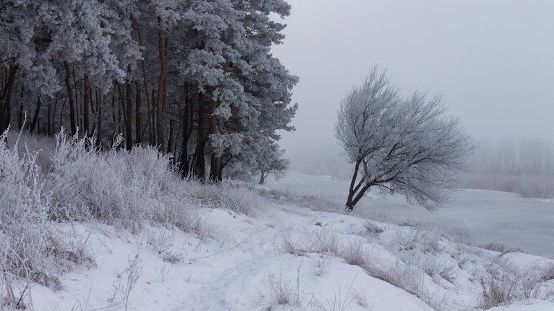 . . . фото превью