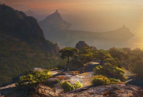 Утренний свет