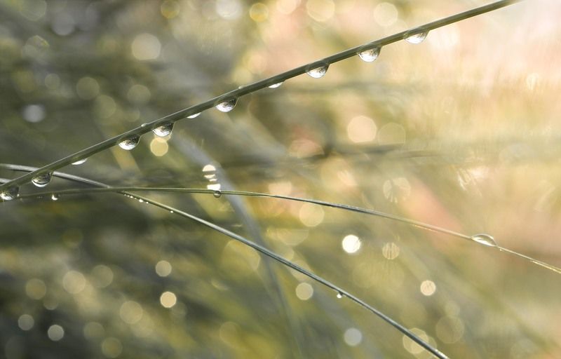 О каплях... и не только фото превью