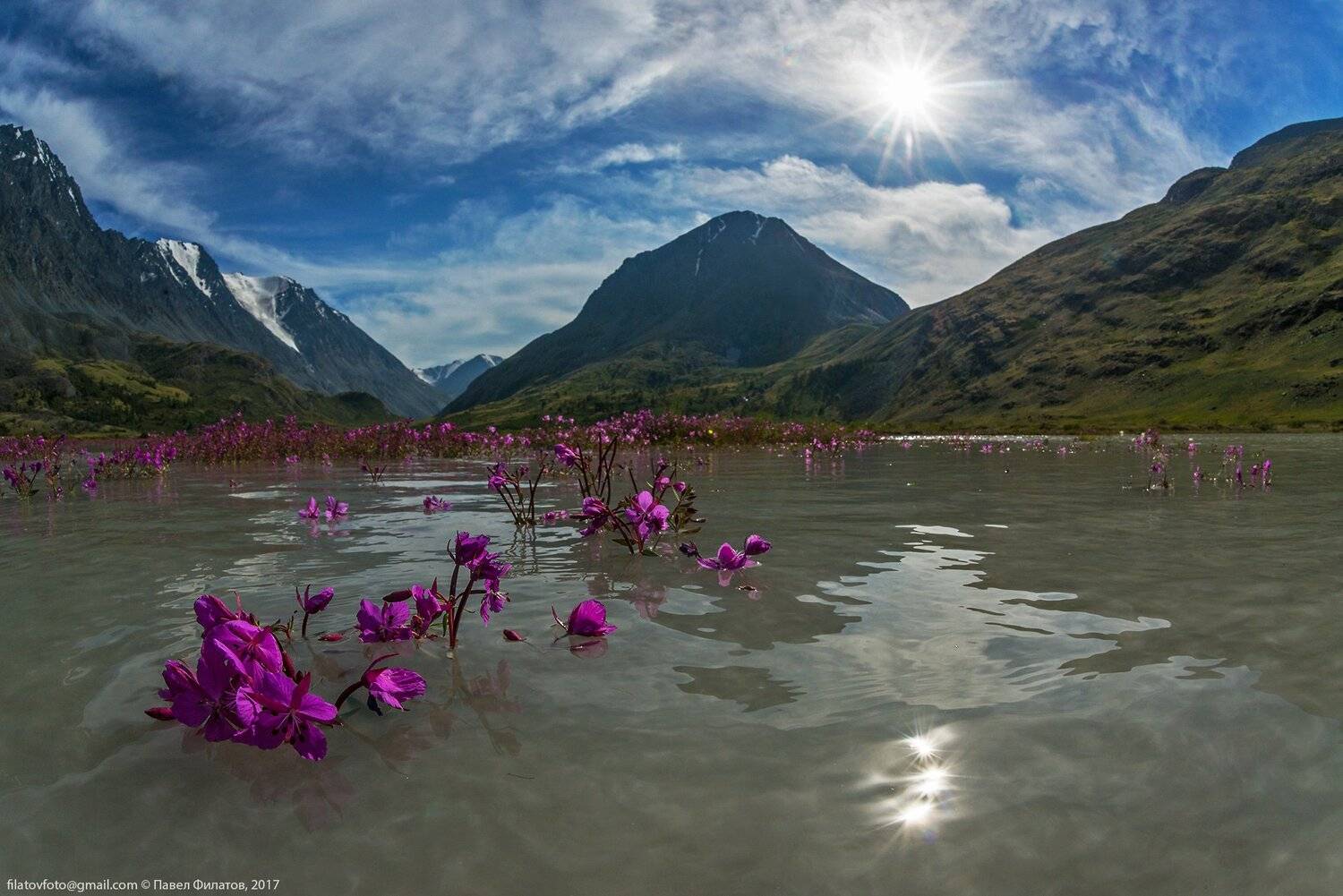 алтай, altai, сибирь, siberia, pavel filatov, павел филатов, акколь, река, горы, иван-чай, южно-чуйский хребет, Павел Филатов