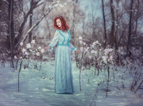 Winter Fairy