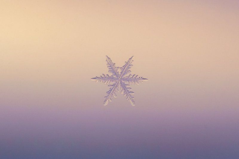 Макро, Печора, Снежинка Снежинки января фото превью