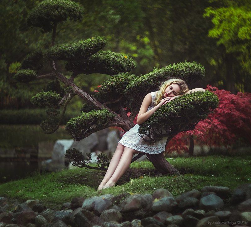 девушка, дерево, сон, портрет, подушка ... фото превью