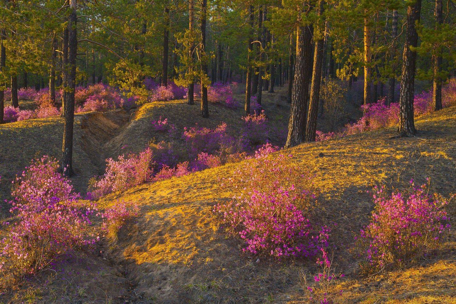 , Владимир Рябков