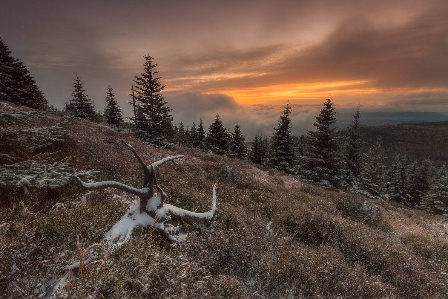 landscape,canon,mist,light, Iza,Darek