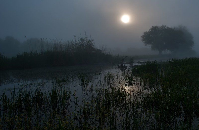 Болото Луны фото превью