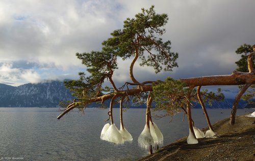 Про зимнюю обувь :)