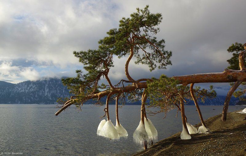 Алтай, Телецкое озеро, Яйлю Про зимнюю обувь :) фото превью