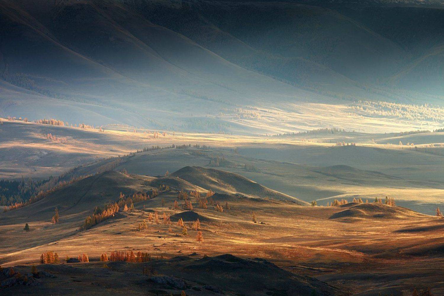 , Бруно Томский