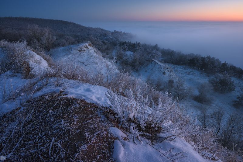 зима, снег, иней, туман, закат, кусты, деревья, сосны, овраги, холмы, берег, река Мороз. Внутрення тишина фото превью