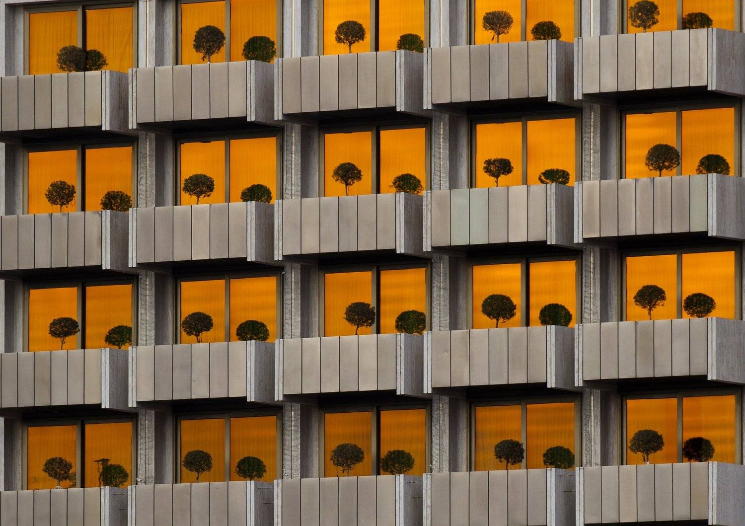 афины, Андрей Перешеин