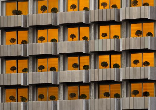 Матрица глюкнула