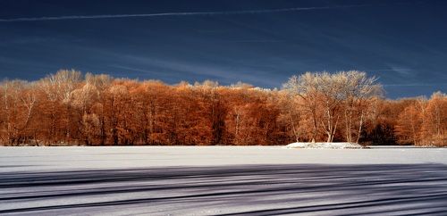 Длинные тени. Инфракрасная фотография.