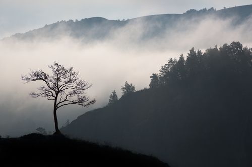 Утро в горах.