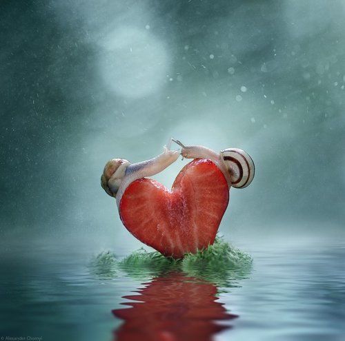 Магия любви