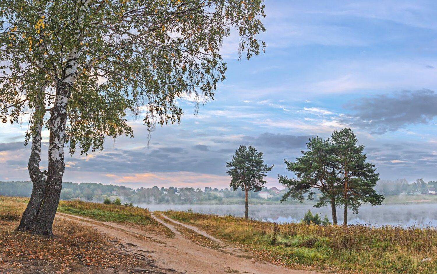 , Николай Андреев