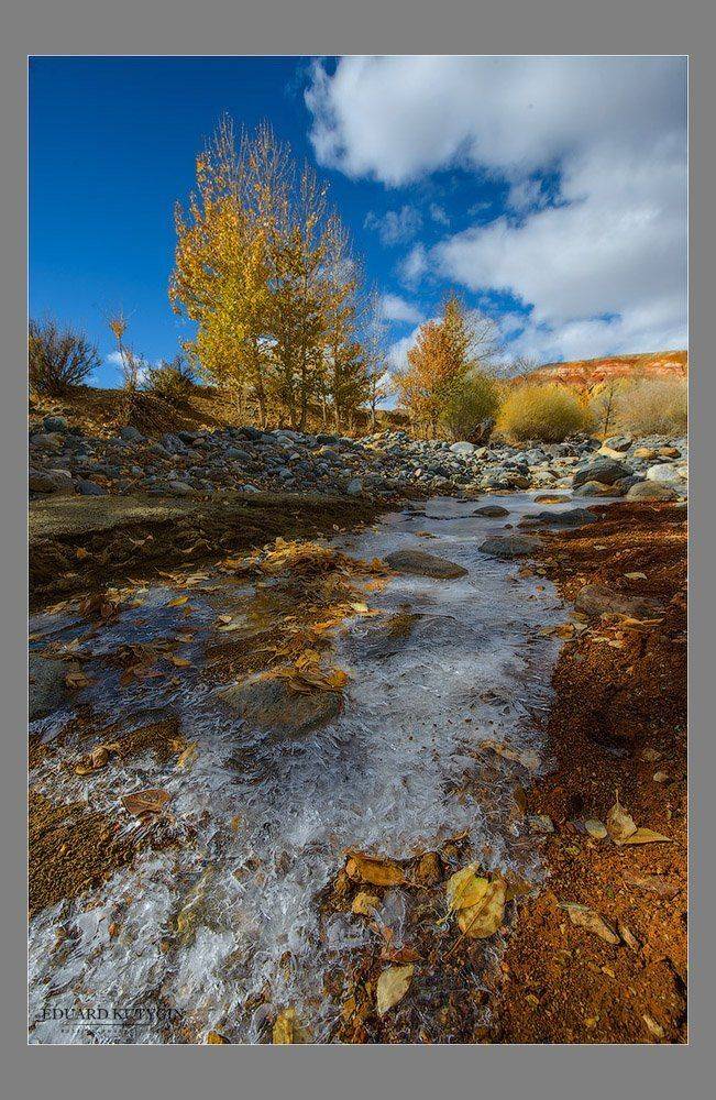 , Кутыгин Эдуард