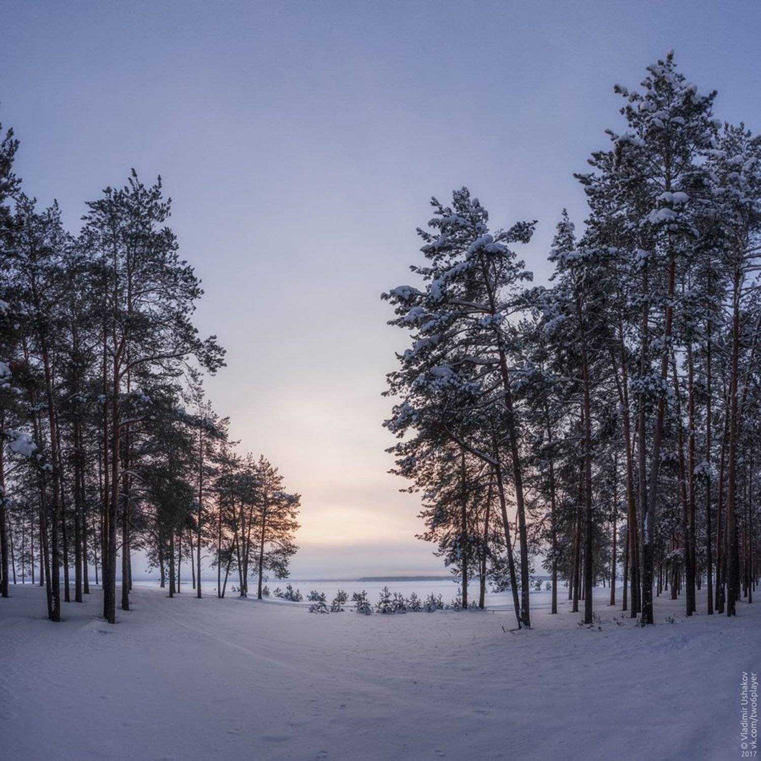 утро, рассвет, мороз, зима, берег, река кама, сосновый бор, пермский край, Владимир Ушаков