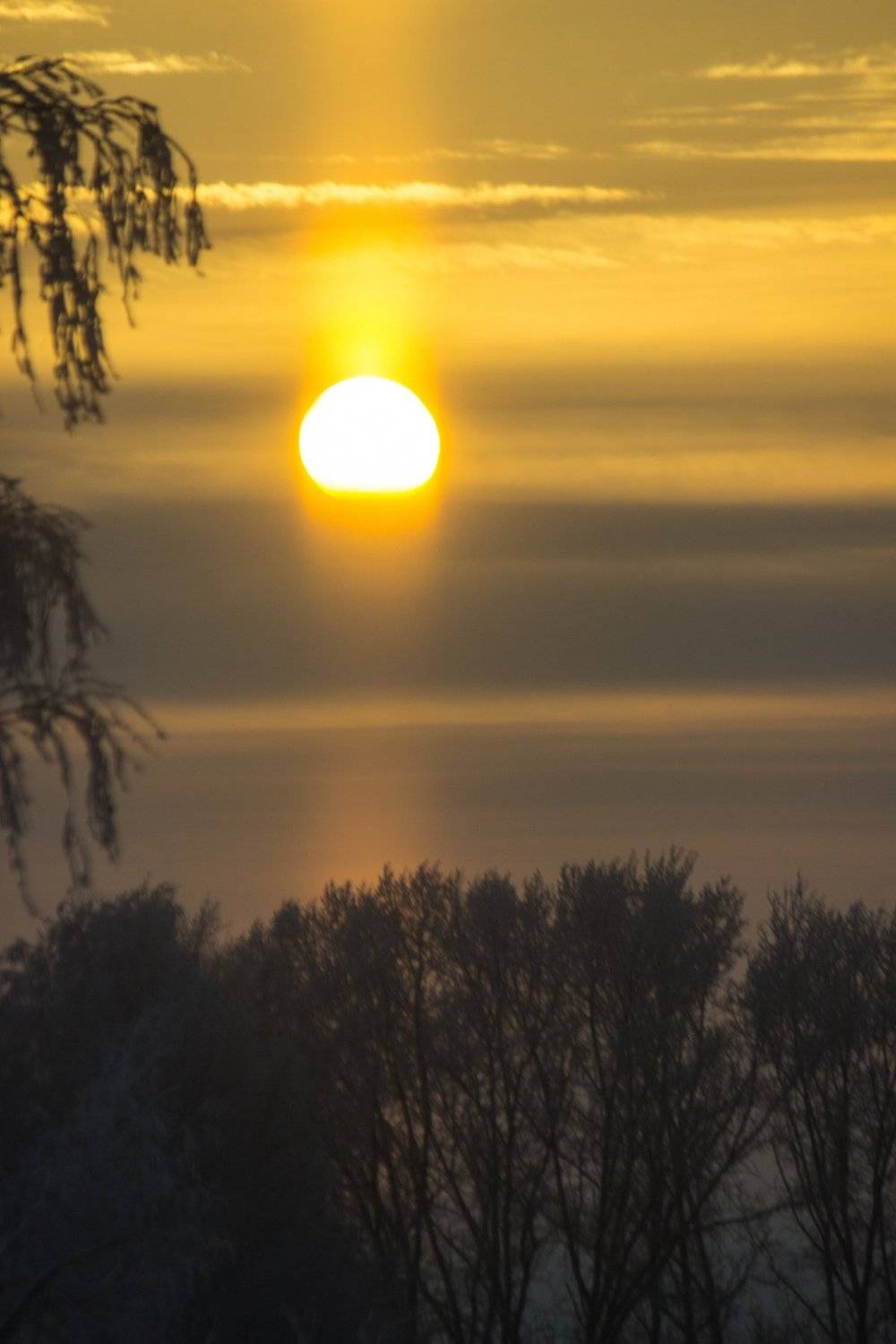 sun. Автор: Сергей Саврасов , Сергей Саврасов